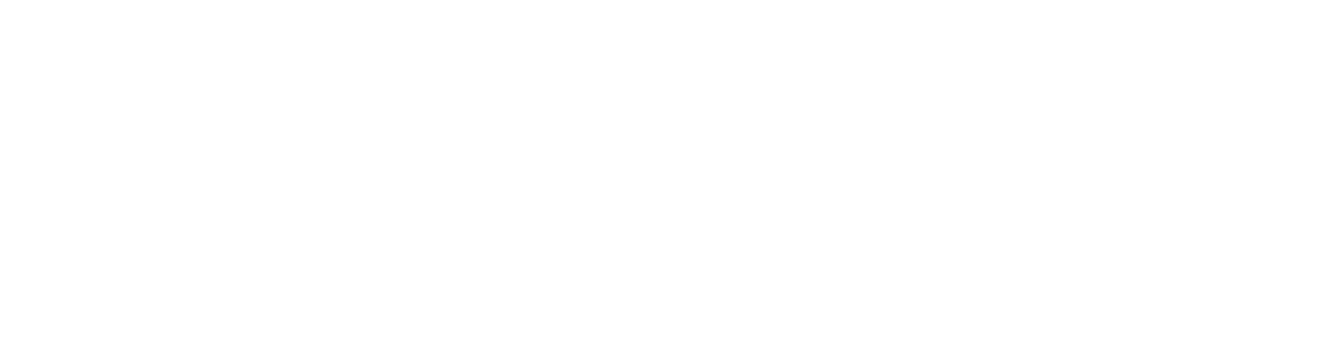 logo_white